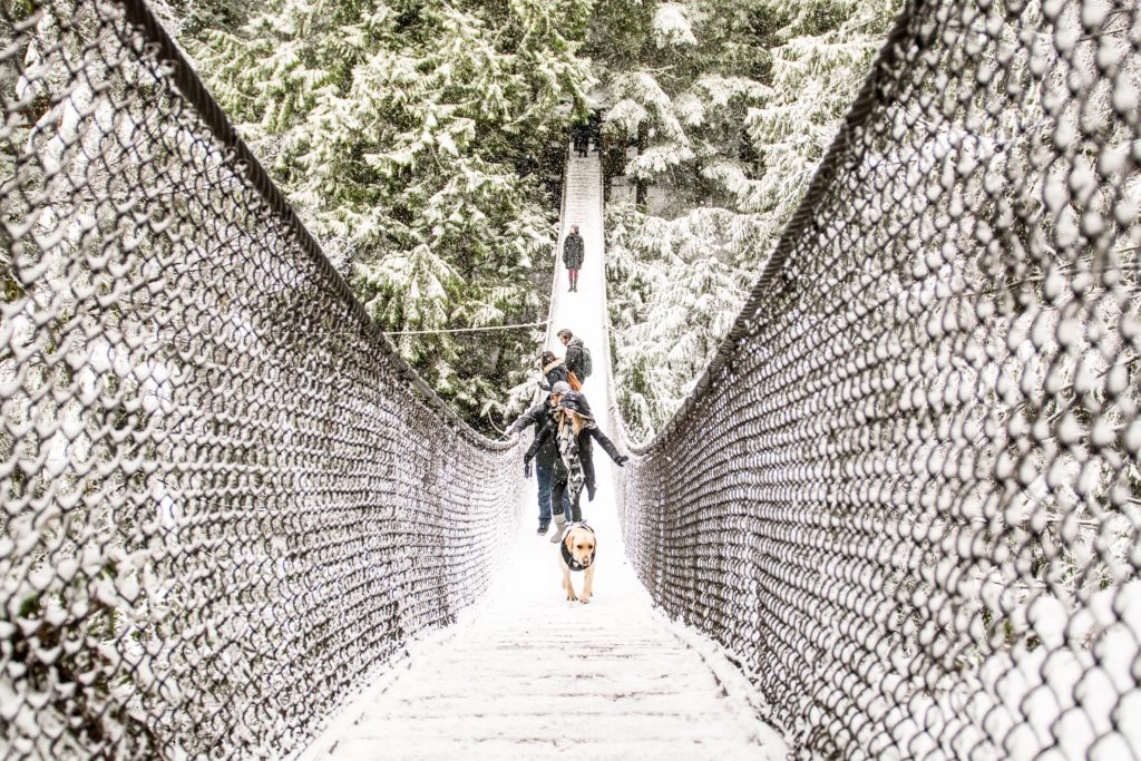 Fall Hiking in Vancouver