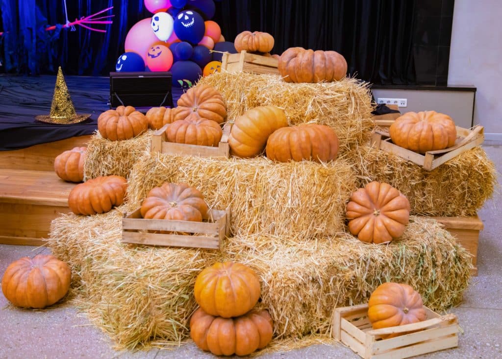 Halloween Market Langley