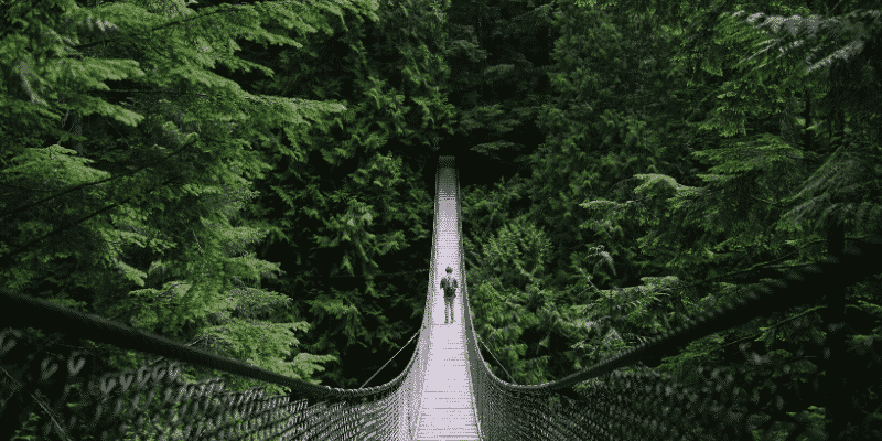 person-walking-on-vancouver-suspension-bridge