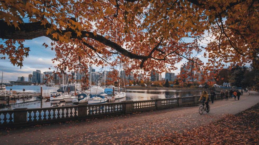 Blog Vancouver Fall